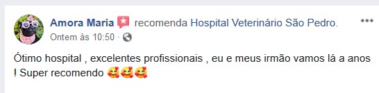 Hospital Veterinário São Pedro Amora Maria