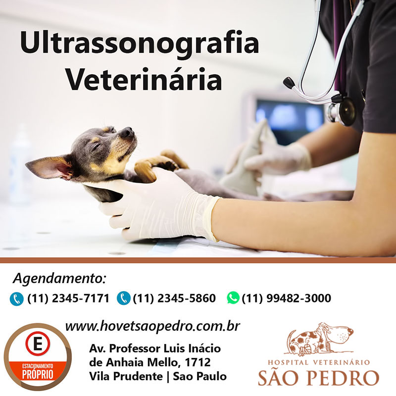 Animais Silvestres Hospital Veterinário São Pedro