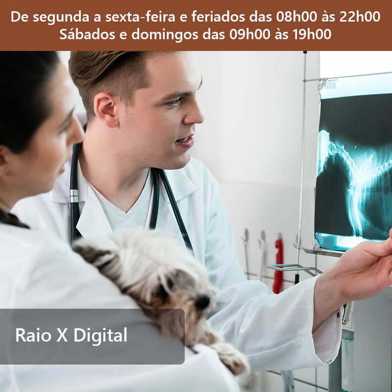 Raio X Digital Hospital Veterinário São Pedro animais silvestres