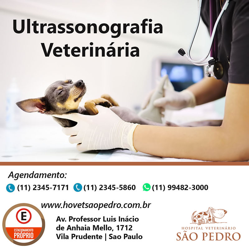 Ultrassom Hospital Veterinário São Pedro 3 novos horários 4